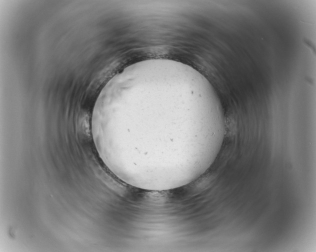 X0000102230238200808151737