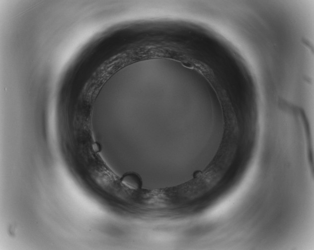 X0000102230239200808151737