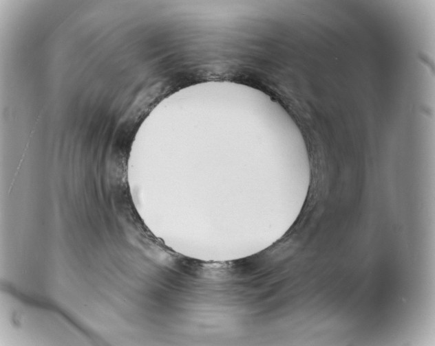 X0000102230240200808151737