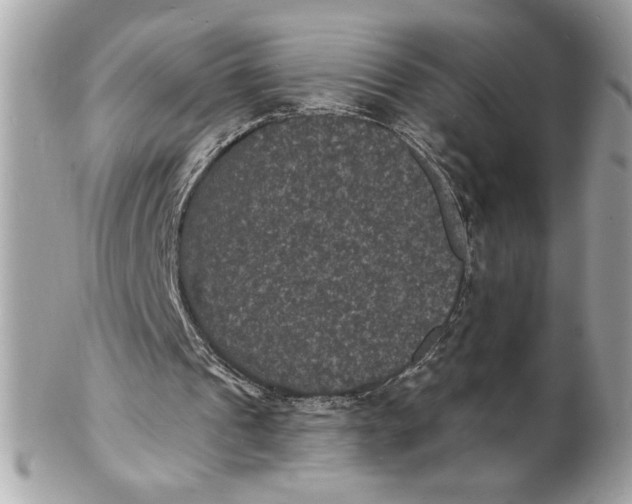 X0000102230241200808151736