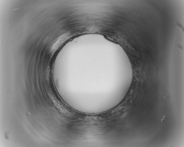 X0000102230242200808151736