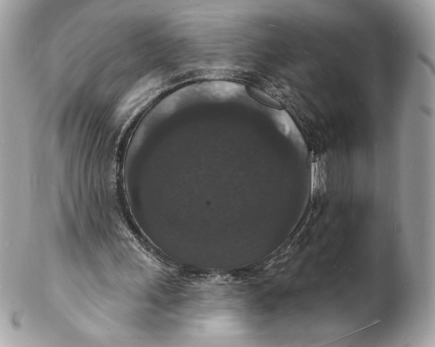 X0000102230243200808151736