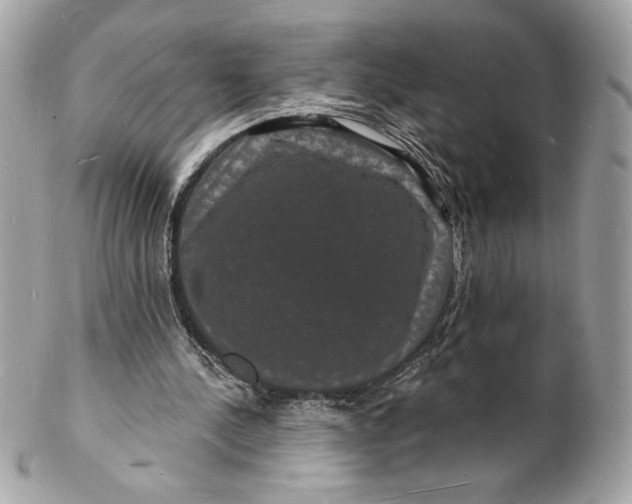 X0000102230244200808151736
