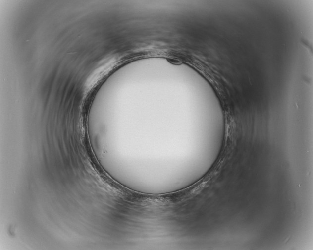 X0000102230245200808151736