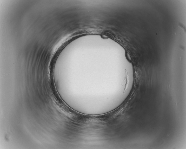 X0000102230246200808151736