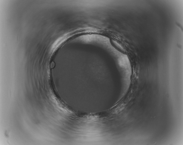 X0000102230247200808151736
