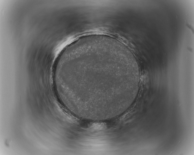 X0000102230248200808151737