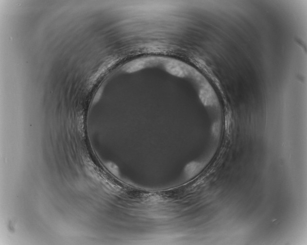 X0000102230249200808151737