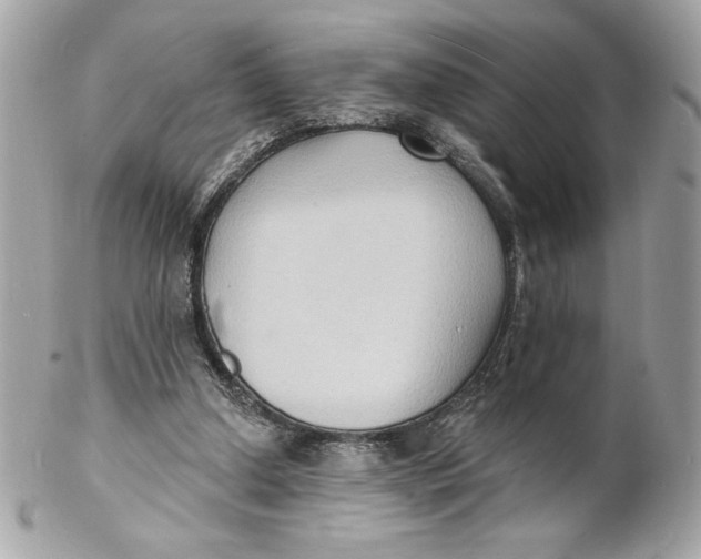 X0000102230250200808151737