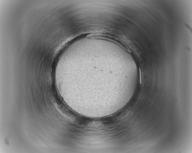 X0000102230252200808151737