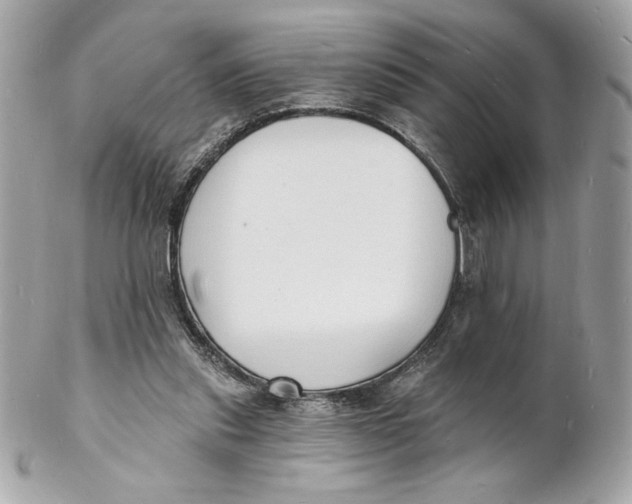 X0000102230253200808151737