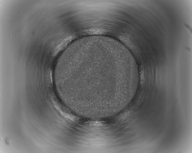 X0000102230254200808151737