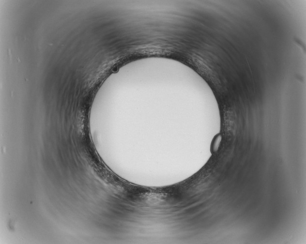 X0000102230255200808151737