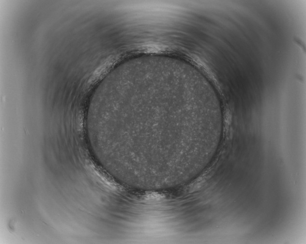 X0000102230257200808151737
