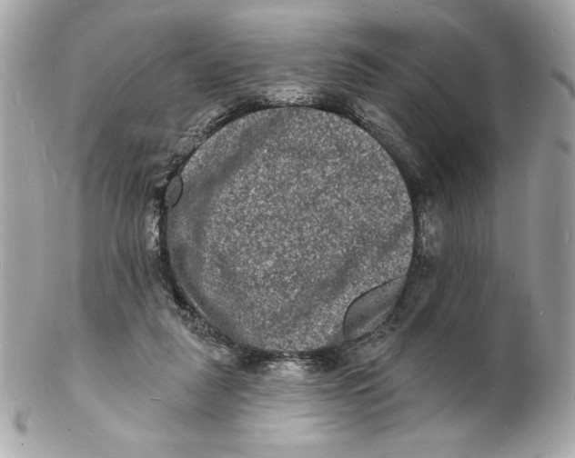 X0000102230259200808151737