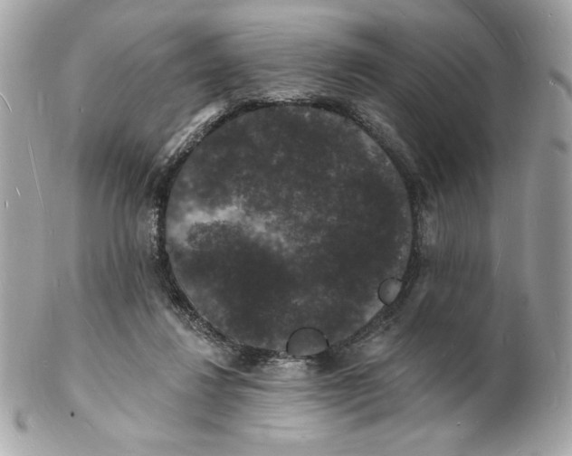 X0000102230260200808151737