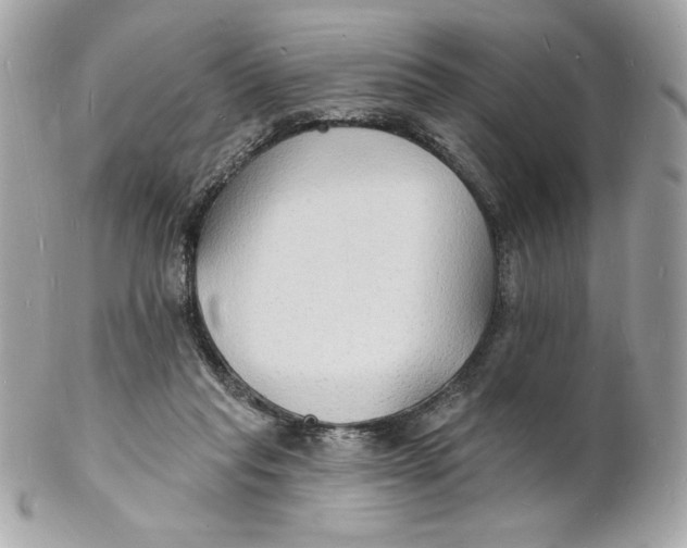 X0000102230261200808151737