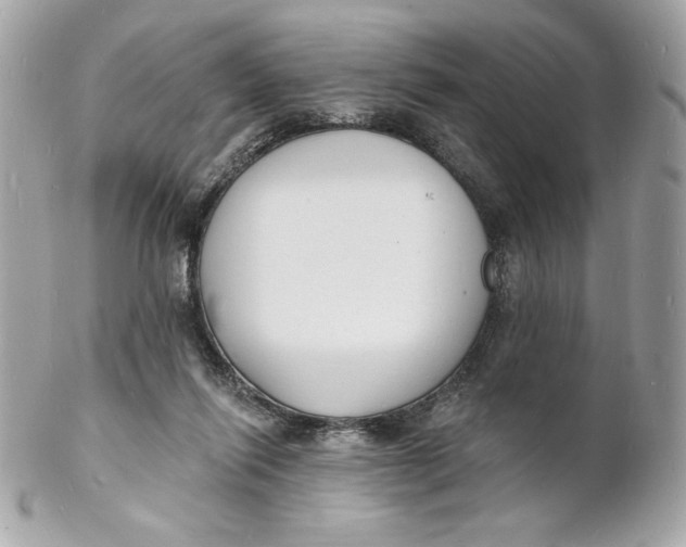 X0000102230262200808151737