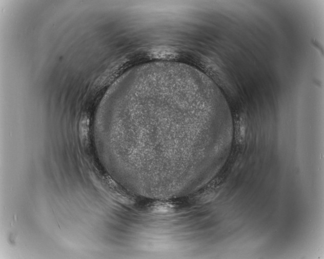 X0000102230263200808151737