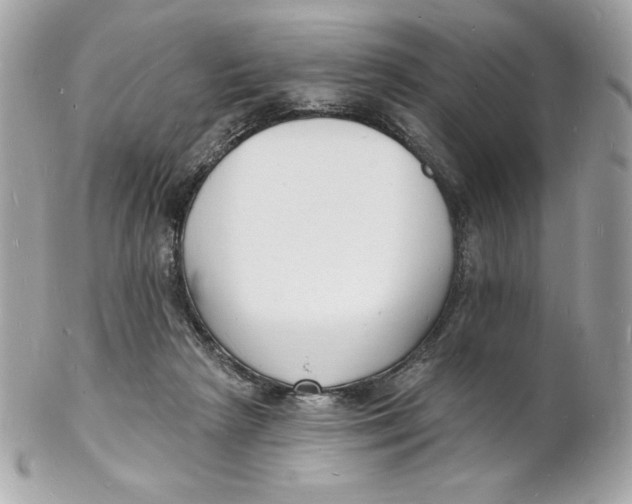 X0000102230265200808151737
