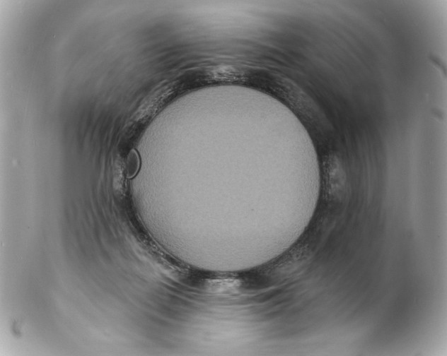 X0000102230266200808151737