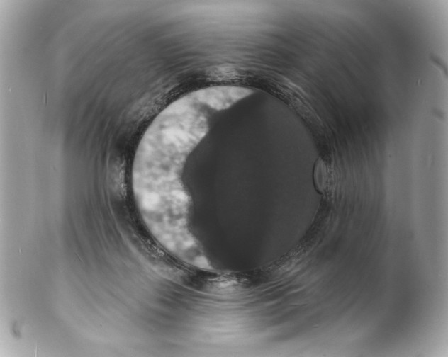 X0000102230267200808151737