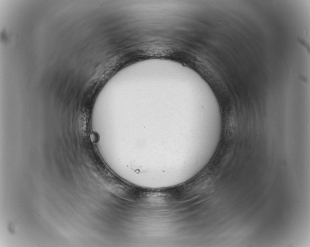X0000102230268200808151737