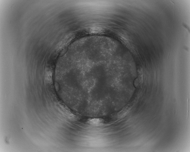 X0000102230269200808151737