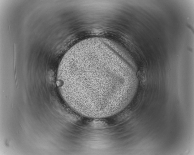 X0000102230270200808151737