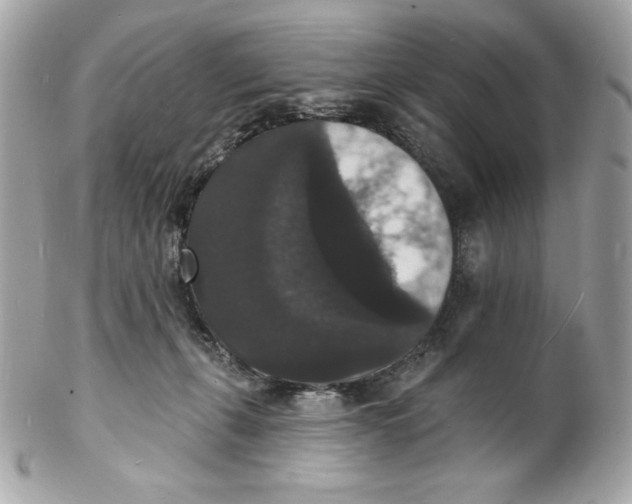X0000102230271200808151737