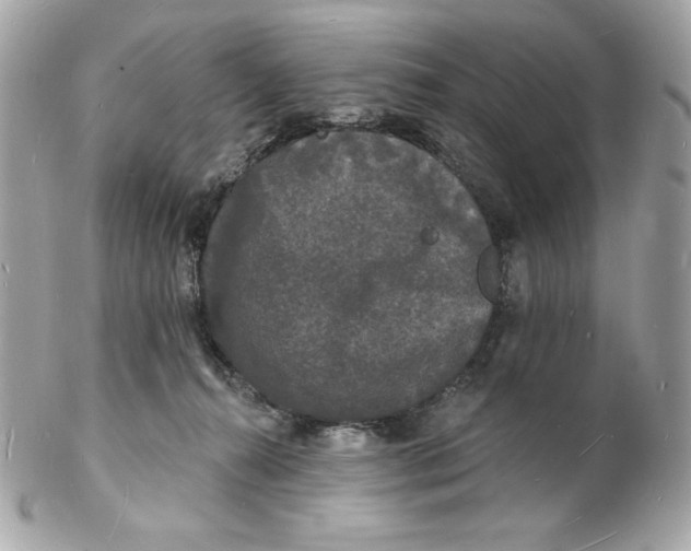 X0000102230272200808151737