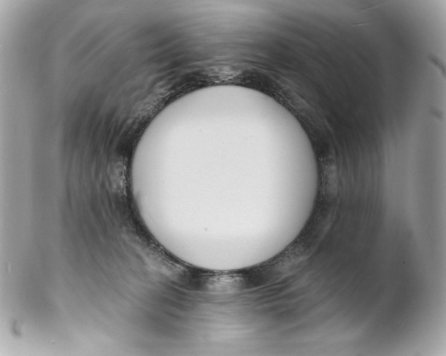 X0000102230274200808151737