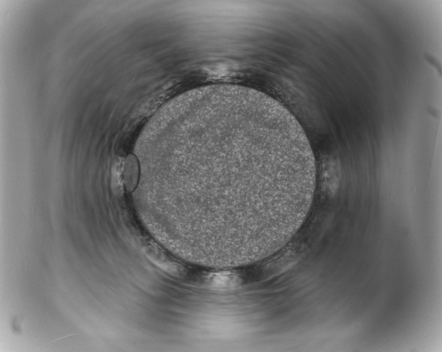 X0000102230275200808151737