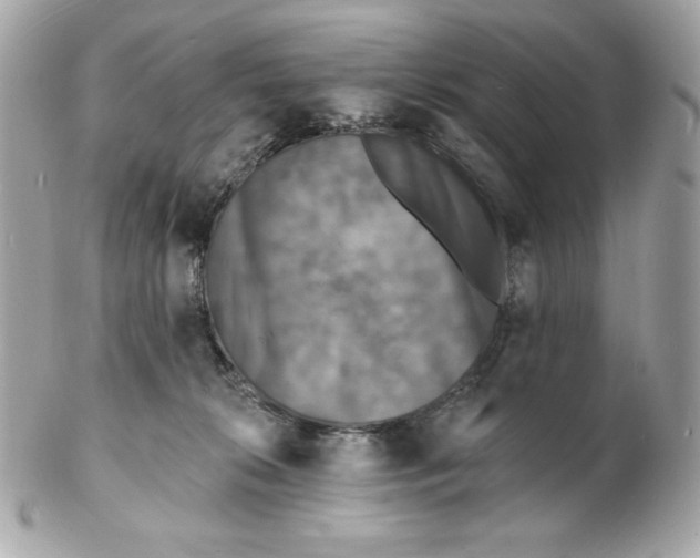 X0000102230276200808151737
