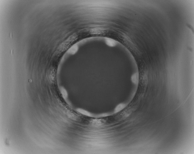 X0000102230277200808151737