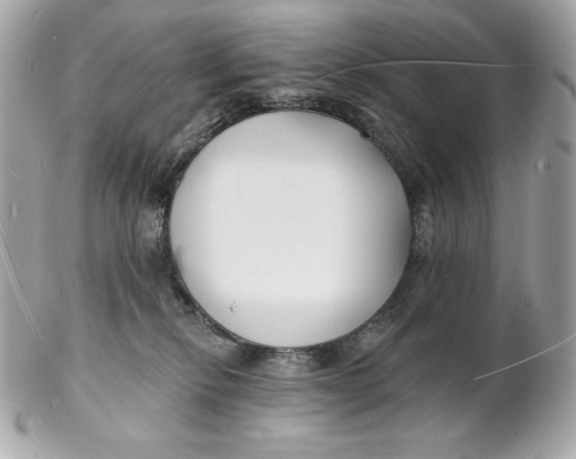 X0000102230278200808151737