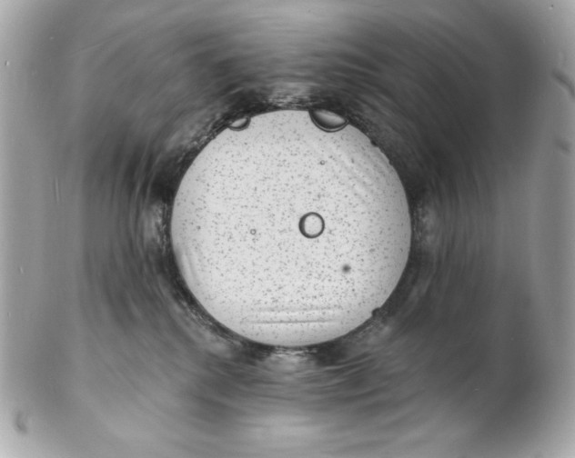 X0000102230280200808151737