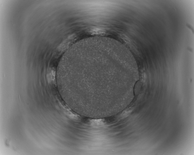 X0000102230281200808151737