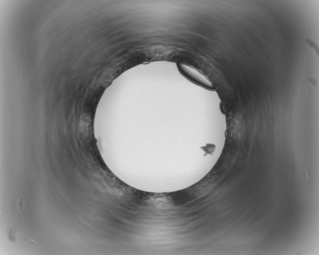 X0000102230283200808151737
