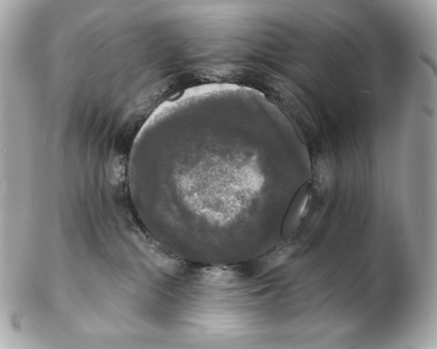 X0000102230284200808151737