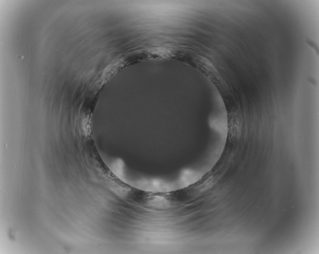 X0000102230285200808151737