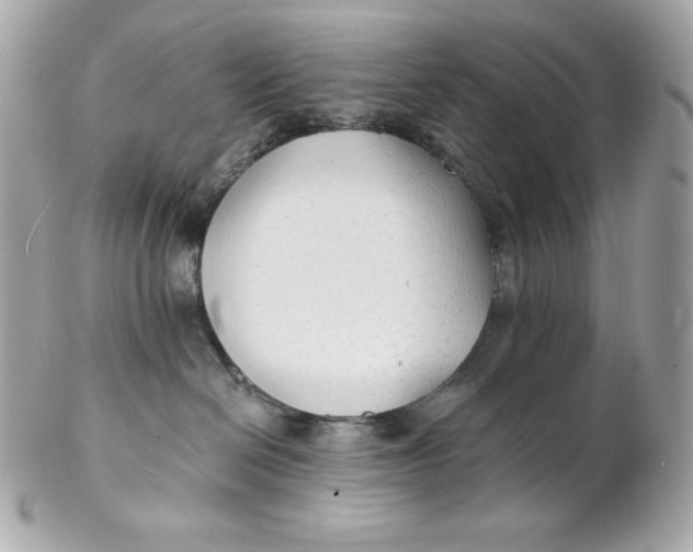 X0000102230286200808151737