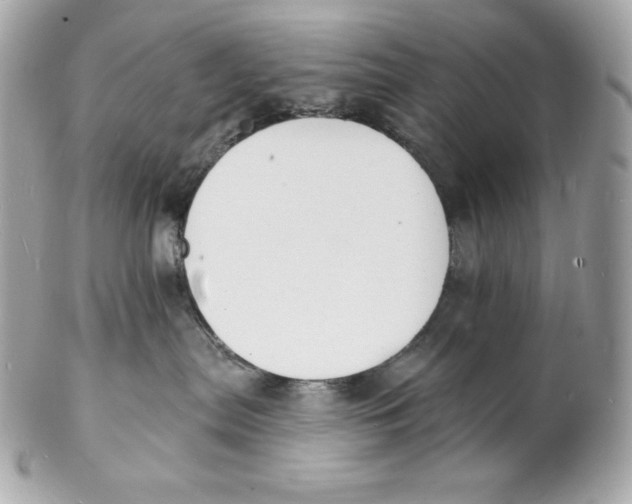 X0000102230287200808151737
