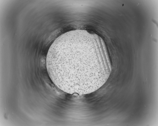 X0000102230288200808151737