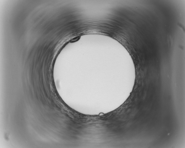 X0000102230289200808151736