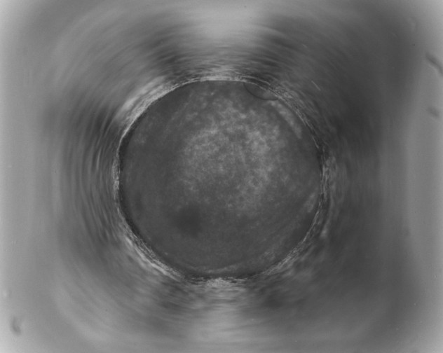 X0000102230290200808151736
