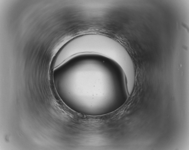 X0000102230292200808151736