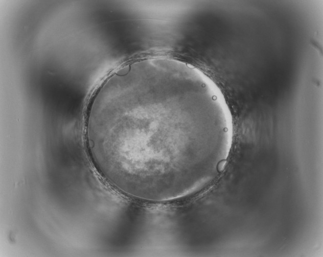 X0000102230293200808151736