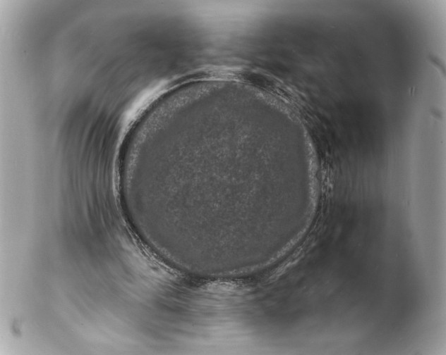 X0000102230294200808151736