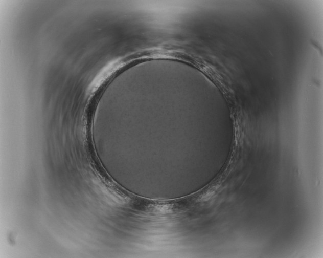 X0000102230295200808151736